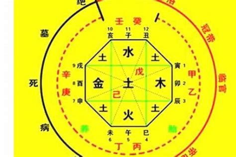 喜用神查询|八字喜用神在线查询器,五行喜什么查询免费